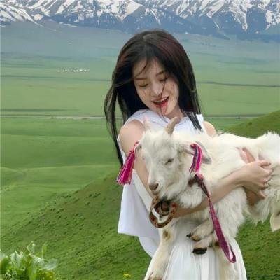 神兽金刚之青龙再现